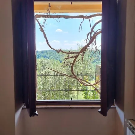 Apartament La Porticella - With Inner Etruscan Museum Bagnoregio