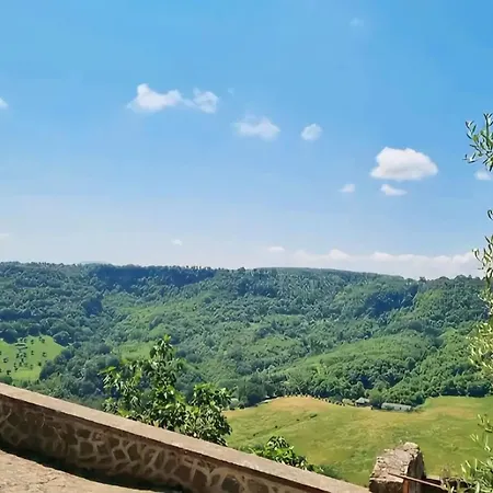 La Porticella - With Inner Etruscan Museum Apartment